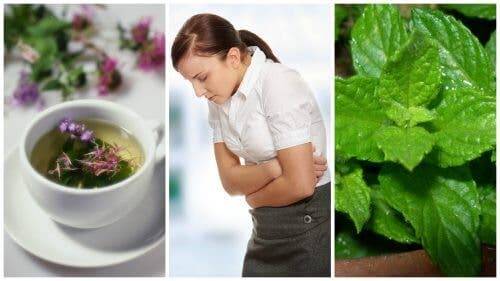Soulager les symptômes au IBS avec ces 5 herbes curatives
