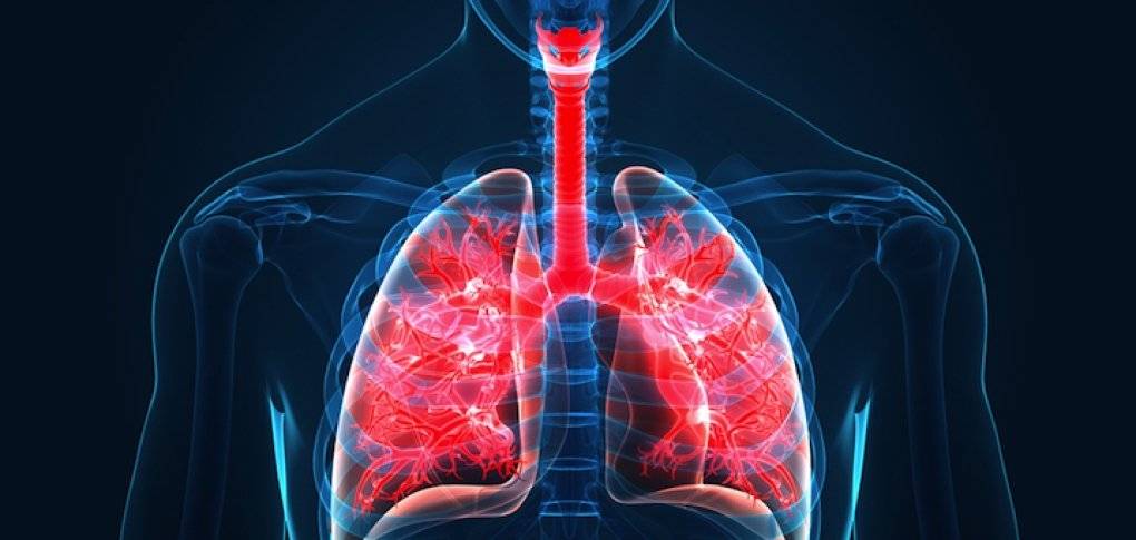 Coronavirus : il faut des mois pour que les poumons se rétablissent