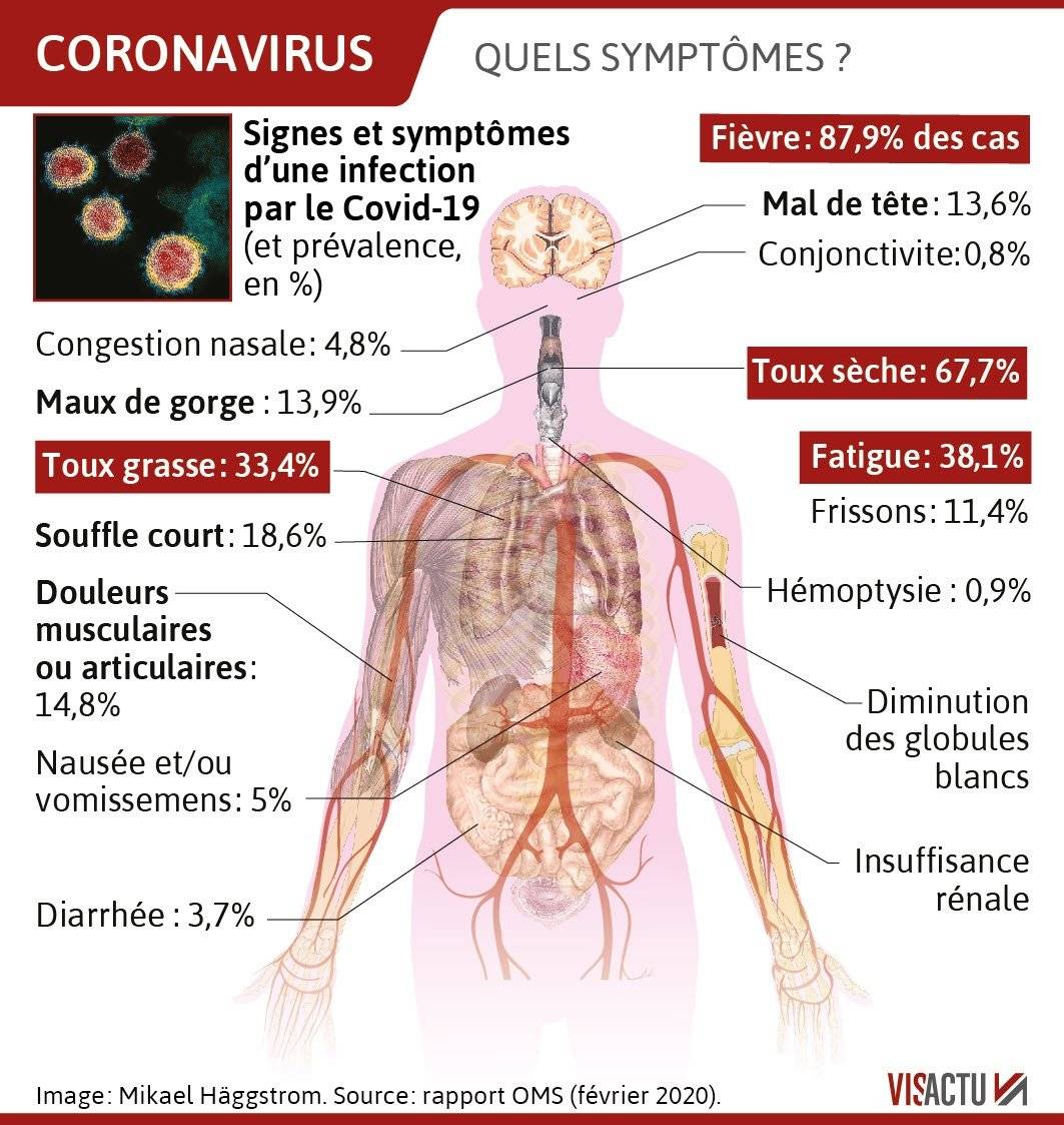 Symptôme du coronavirus : la toux est précédée par la diarrhée !