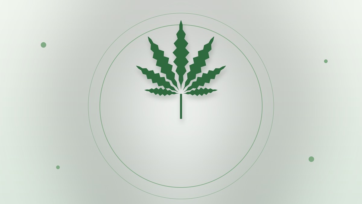 CBD alimentaire interdit en 2026 : que reste-t-il de légal en France ?